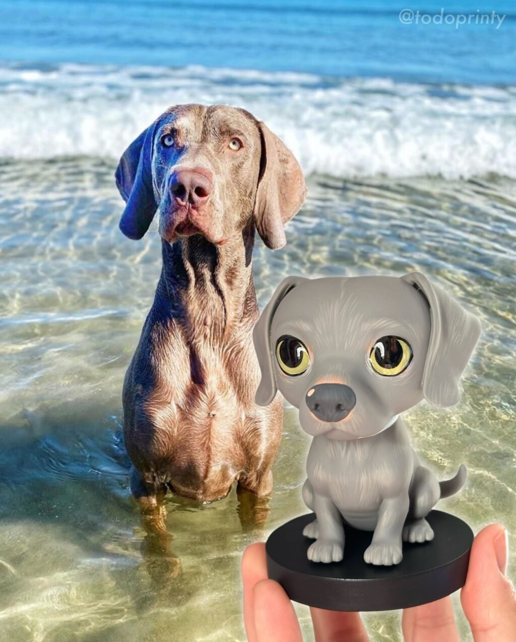 Instagram post from todoprinty. This post is in position 4.