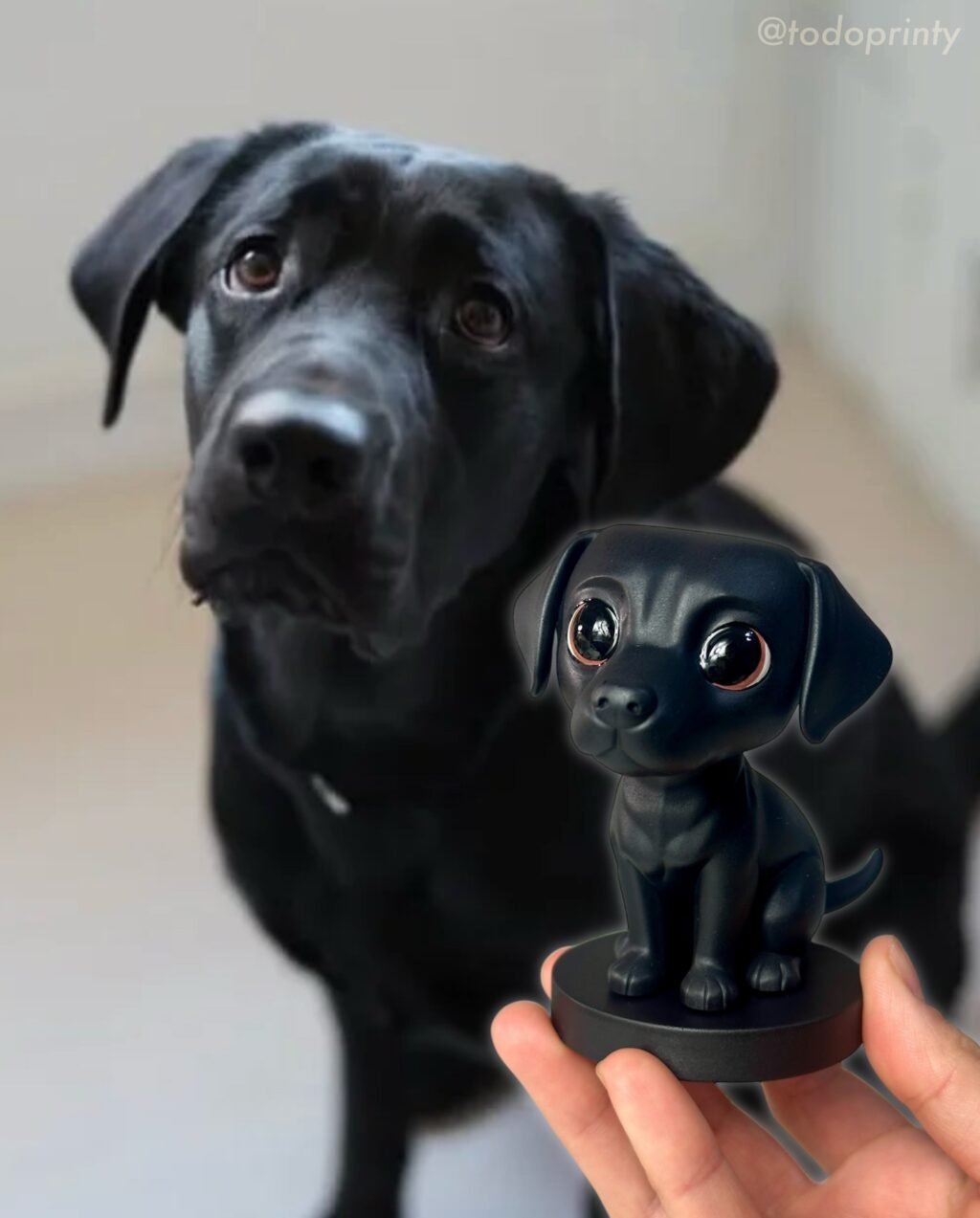 Instagram post from todoprinty. This post is in position 3.