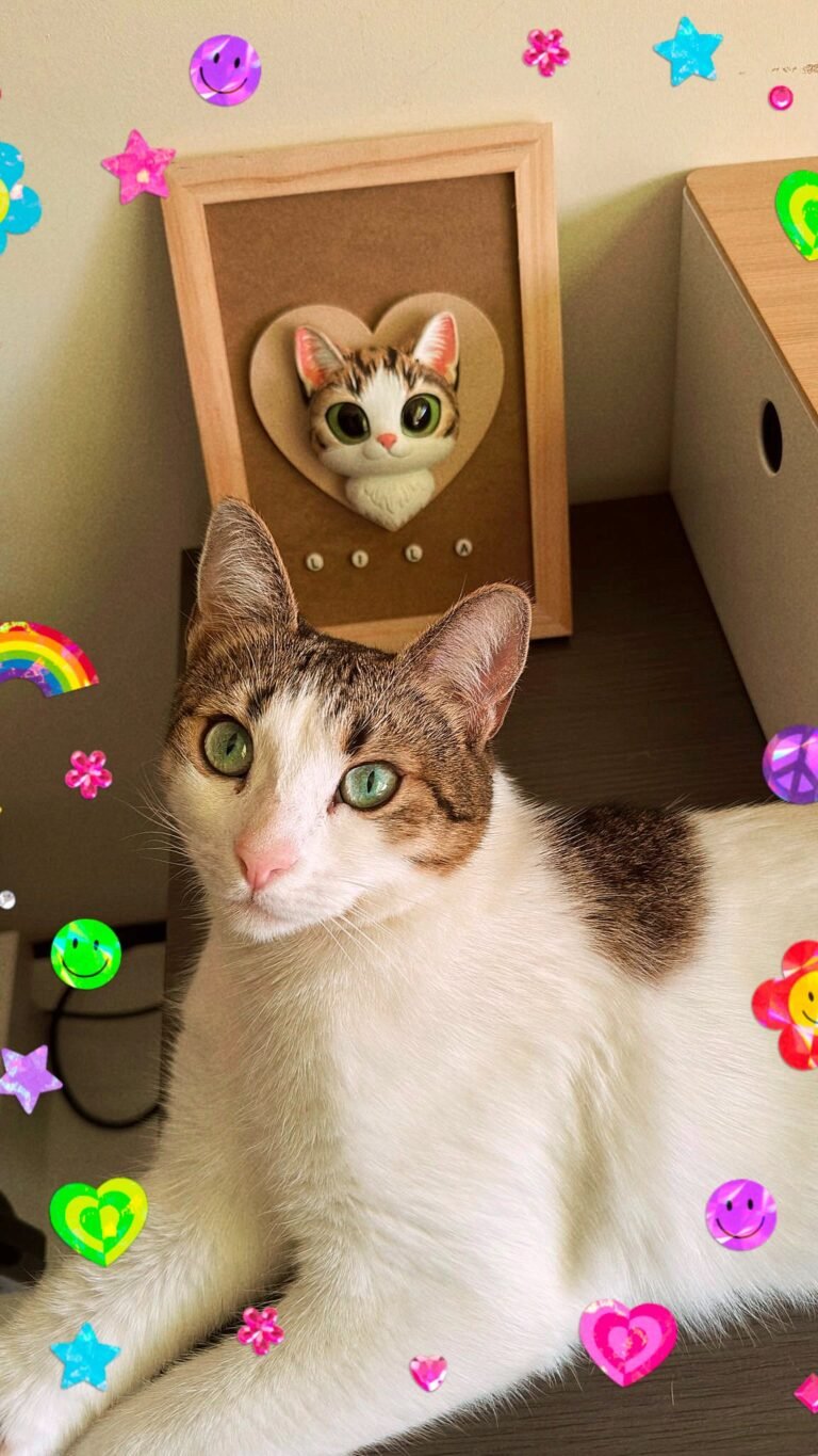 Instagram post from todoprinty. This post is in position 3.