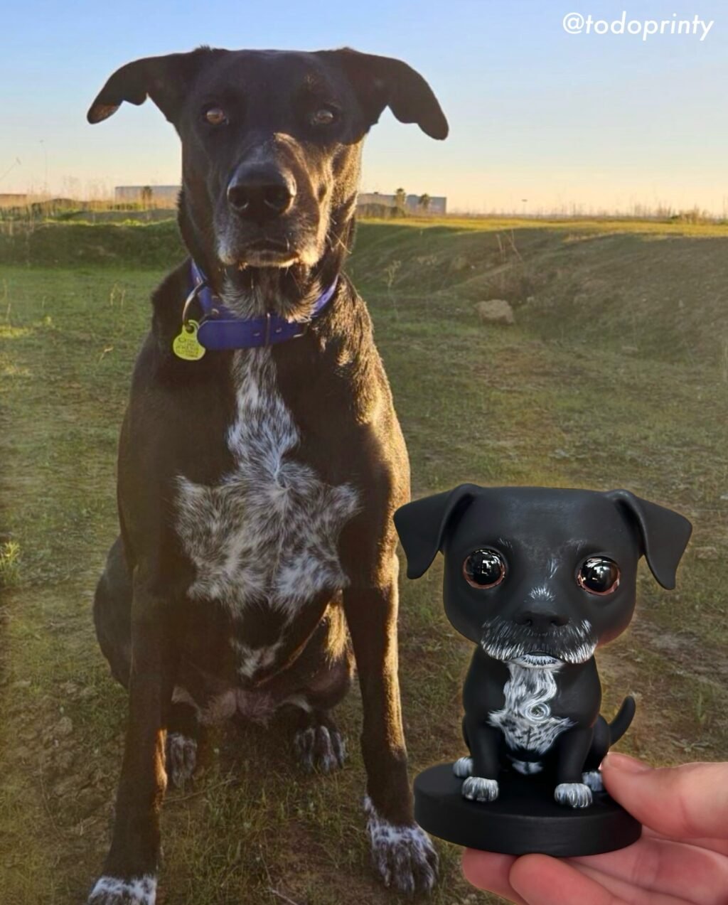 Instagram post from todoprinty. This post is in position 2.