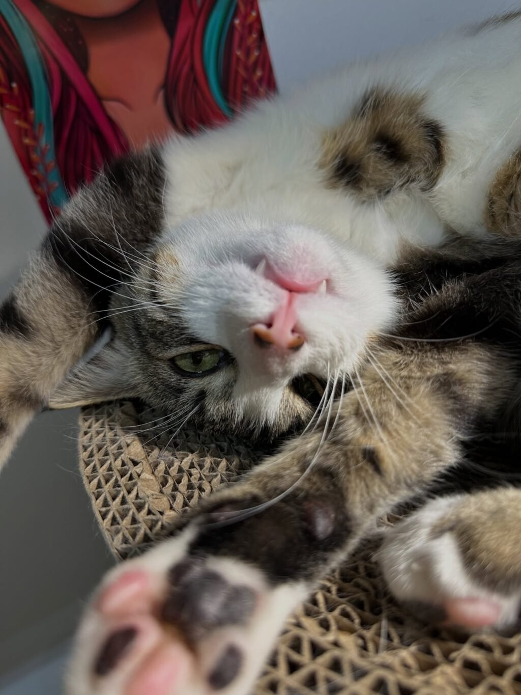 Instagram post from todoprinty. This post is in position 4.