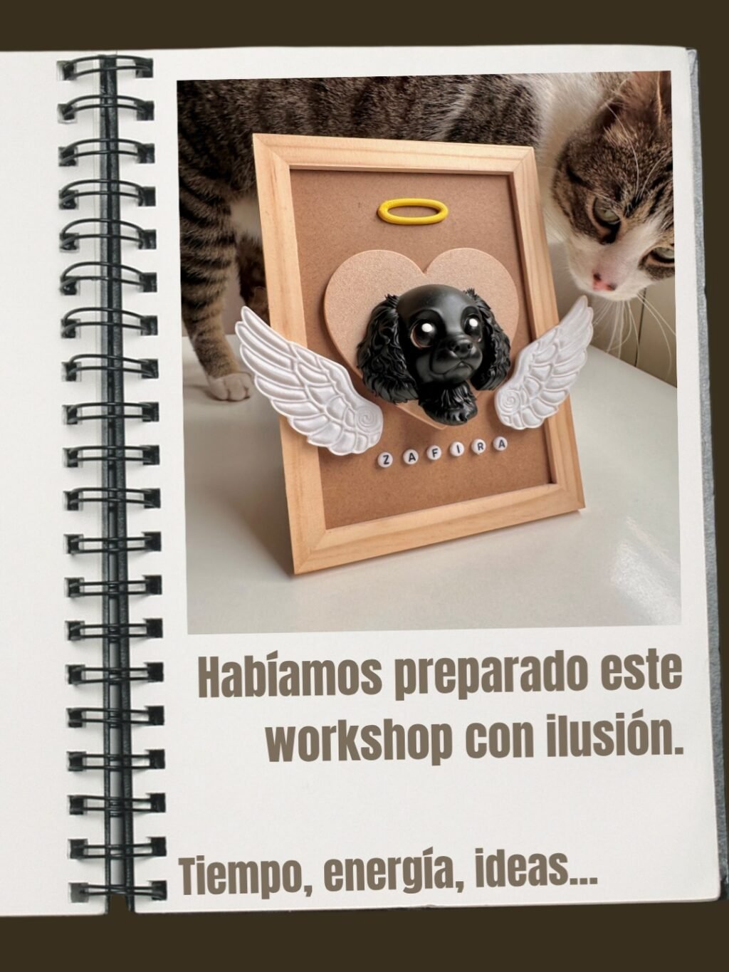 Instagram post from todoprinty. This post is in position 1.