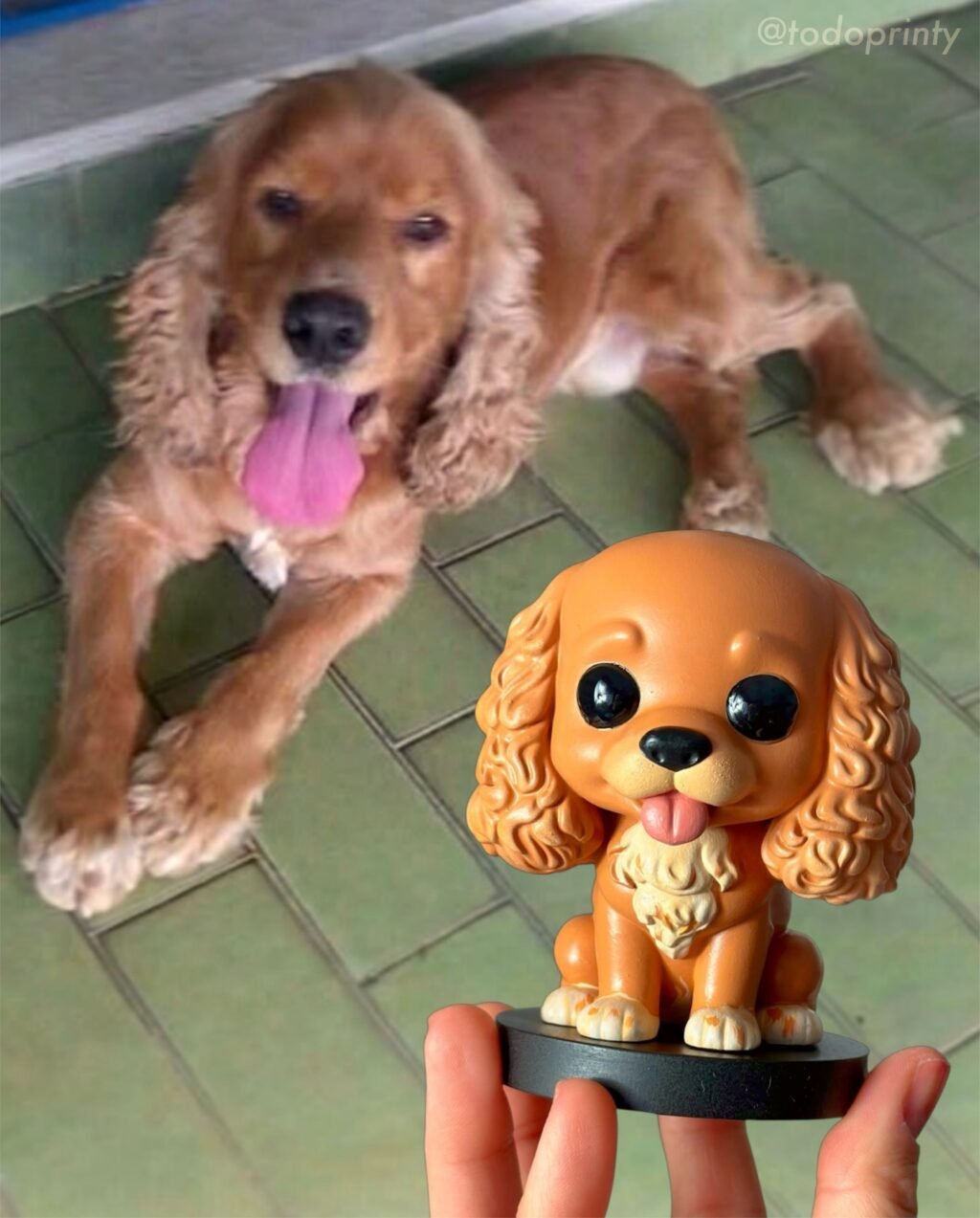 Instagram post from todoprinty. This post is in position 5.